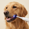 Zeus usando Sorriso Plus US - Zeus Shop
